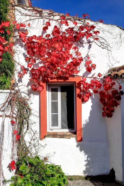 בית הארחה El Bujeo 	Cortijo La Hoya מראה חיצוני תמונה